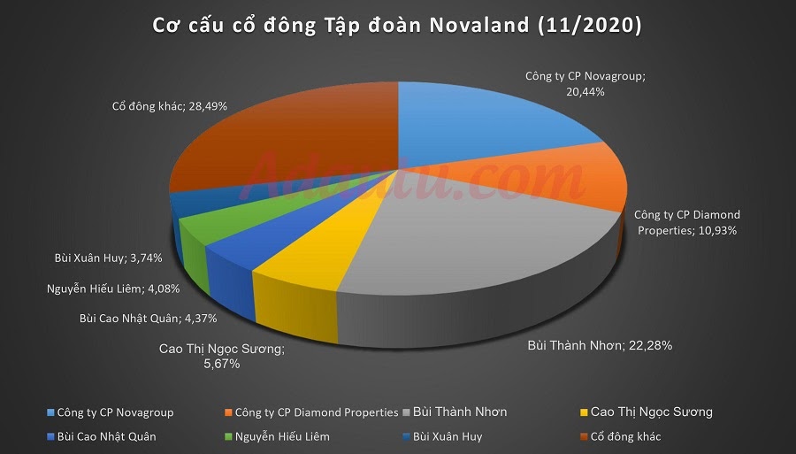 Cơ cấu cổ đông tập đoàn Novaland (tháng 01/2021)