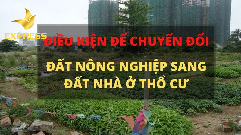 Chuyển đổi đất vườn sang đất thổ cư cần có điều kiện gì?