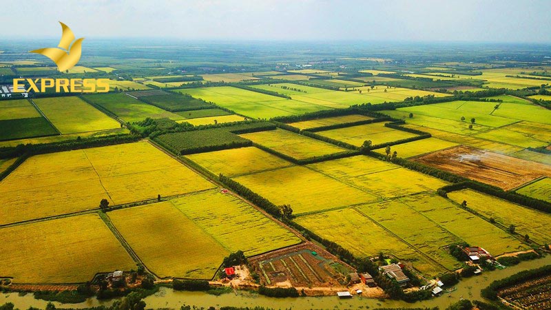 Cơ hội và rủi ro khi quyết định đầu tư đất nông nghiệp