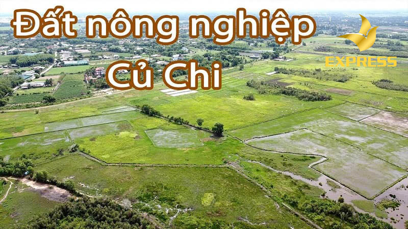 Đất ruộng huyện Củ Chi. Chuyển đổi đất nông nghiệp thành đất thổ cư.