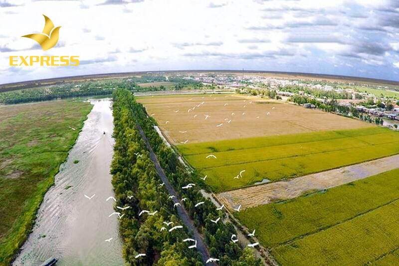 Tại sao có nhiều nhà đầu tư chọn mua đất ruộng Ninh Hòa?