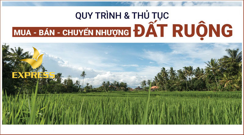 Nắm rõ quy trình thủ tục chuyển nhượng đất ruộng