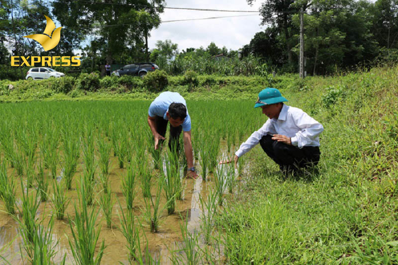 Những điểm lợi cũng như điểm hại về việc bán đất tại Mỹ Khánh