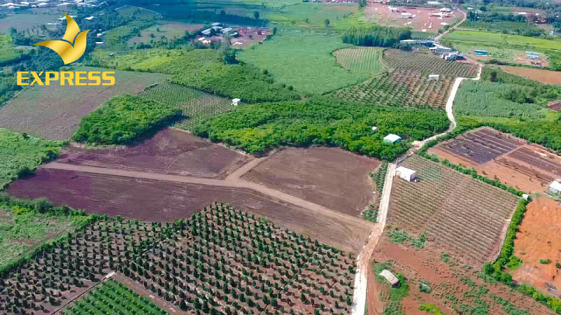 Những lý do nên đầu tư đất nông nghiệp xã Sông Trầu