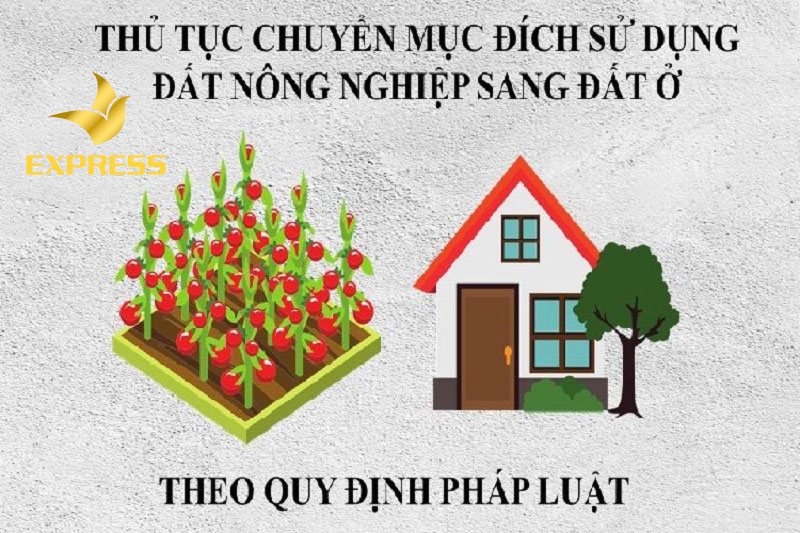 Quy trình thực hiện chuyển đổi đất nông nghiệp sang đất thổ cư?