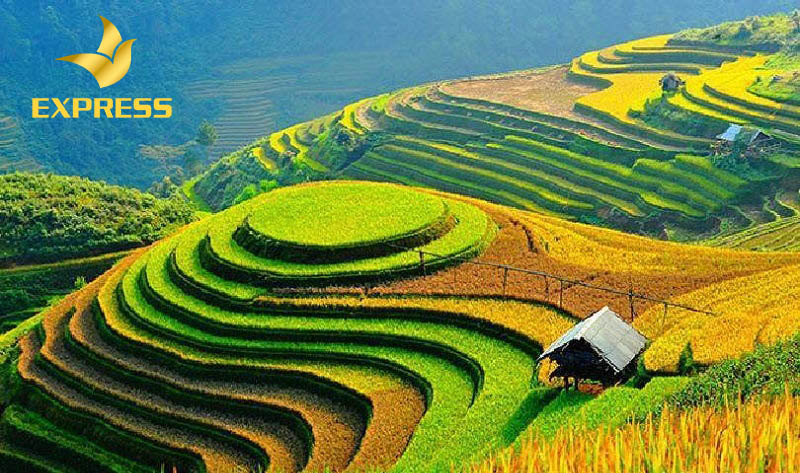 Góc hỏi: Đất ruộng ở Việt Nam được buôn bán như thế nào?