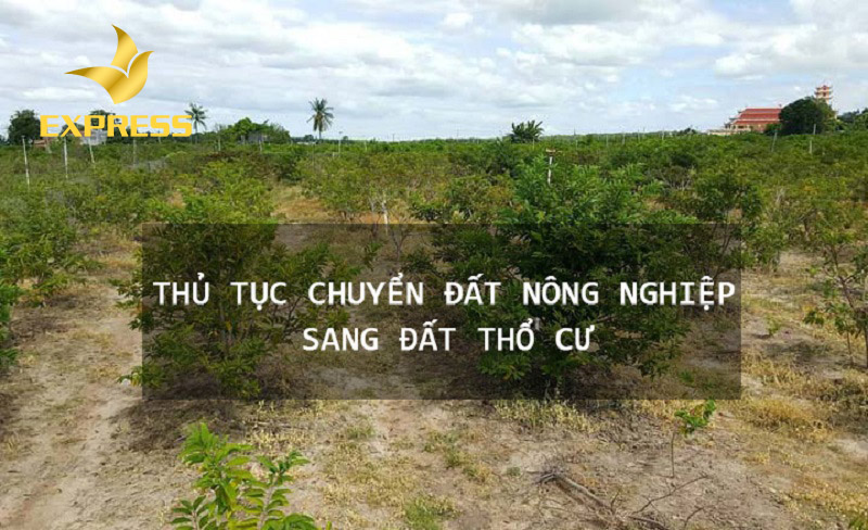 Thủ tục cần có để chuyển đổi đất vườn sang đất thổ cư