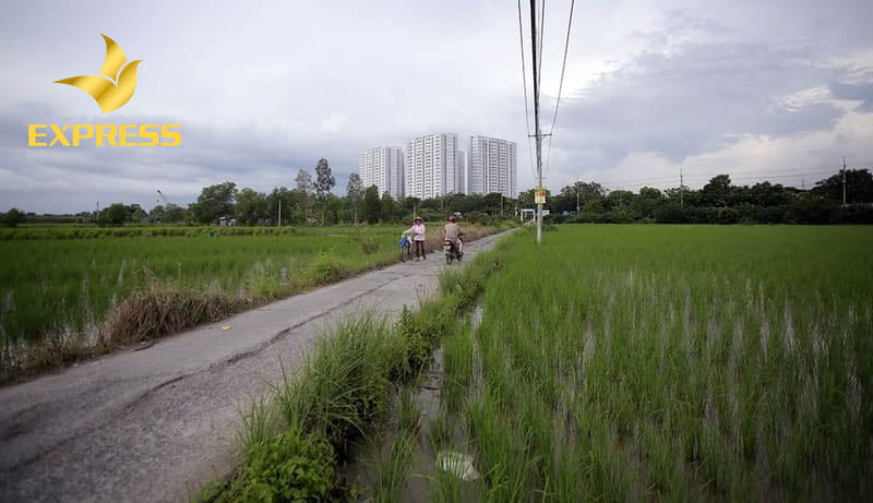 Thủ tục mua đất ruộng Ninh Hòa