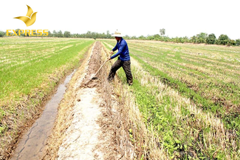 rong thời gian qua quận Ô Môn đã có được những kết quả tốt về nhiều ngành