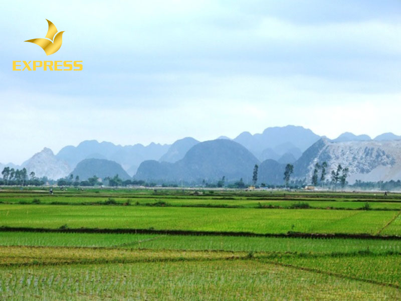 Mọi khu vực đất tại Tây Ninh đều có xu hướng tăng giá, đặc biệt ở khu vực huyện Châu Thành