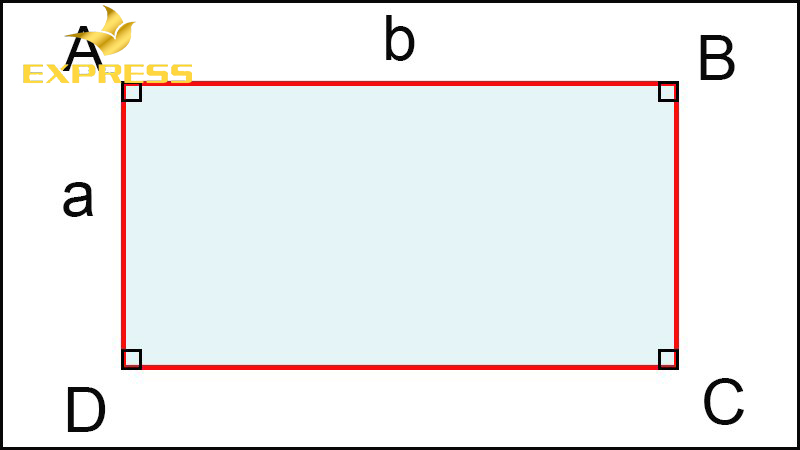 Diện tích nhà hình chữ nhật