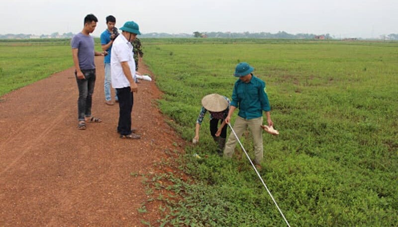 Cách đo chiều dài đất ruộng