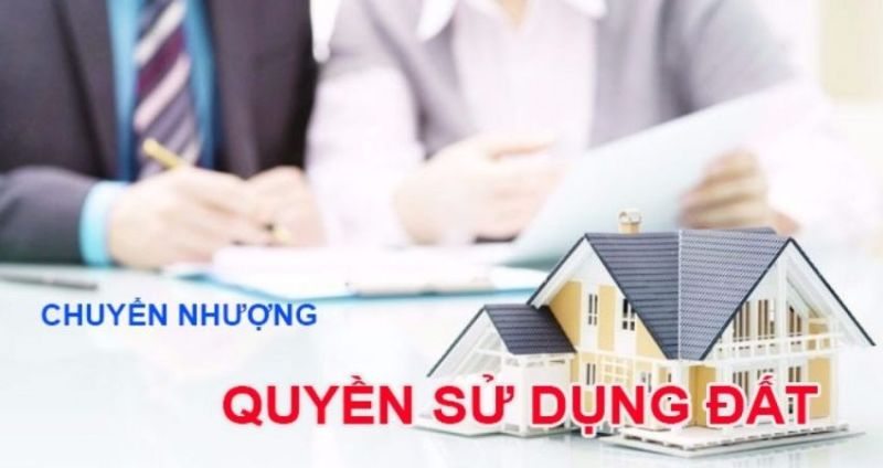 Đất trồng cây lâu năm có chuyển nhượng được không