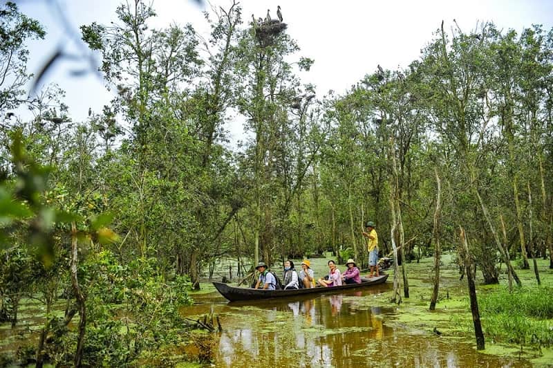 Đi xuồng tham quan vườn quốc gia Tràm Chim