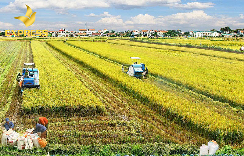 Tổng chi phí khi thực hiện chuyển đổi đất ruộng lên đất thổ cư bao nhiêu tiền?