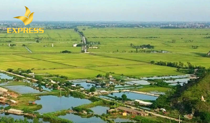 Giá bán đất ruộng huyện Cao Lãnh có mức chênh lệch trên thị trường hiện nay
