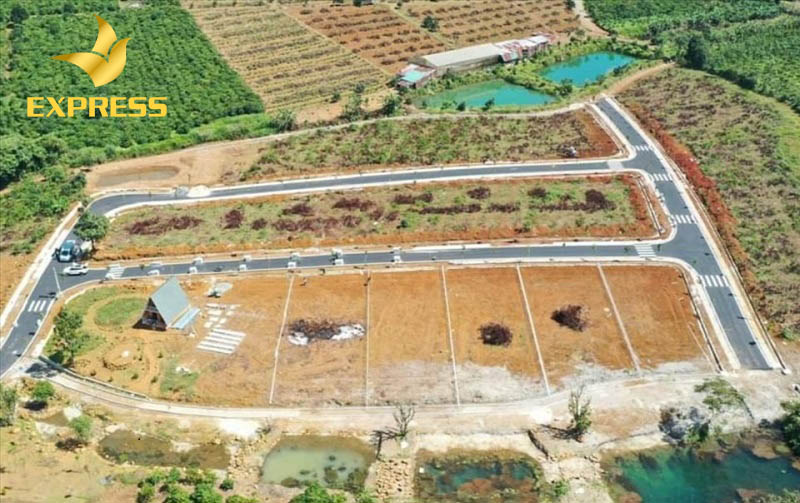 Hiện tượng phân lô, bán nền đất ruộng huyện Châu Thành Đồng Tháp