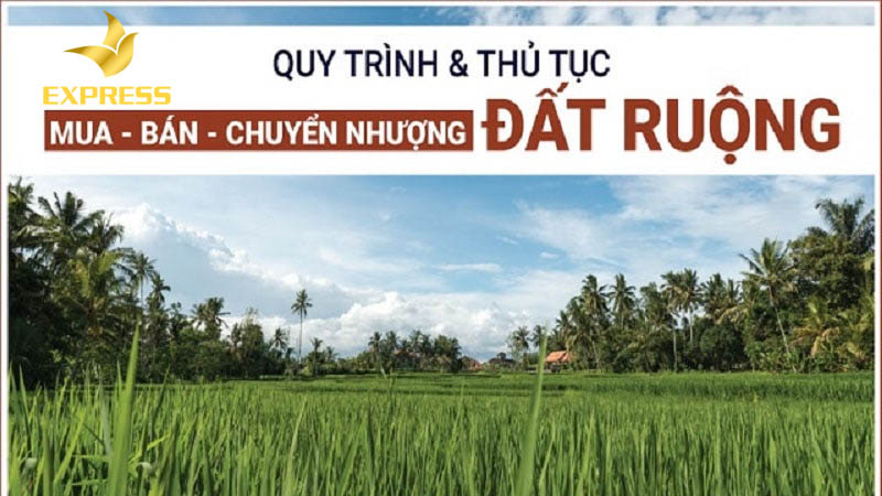 Lập hợp động đặt cọc mua bán đất ruộng