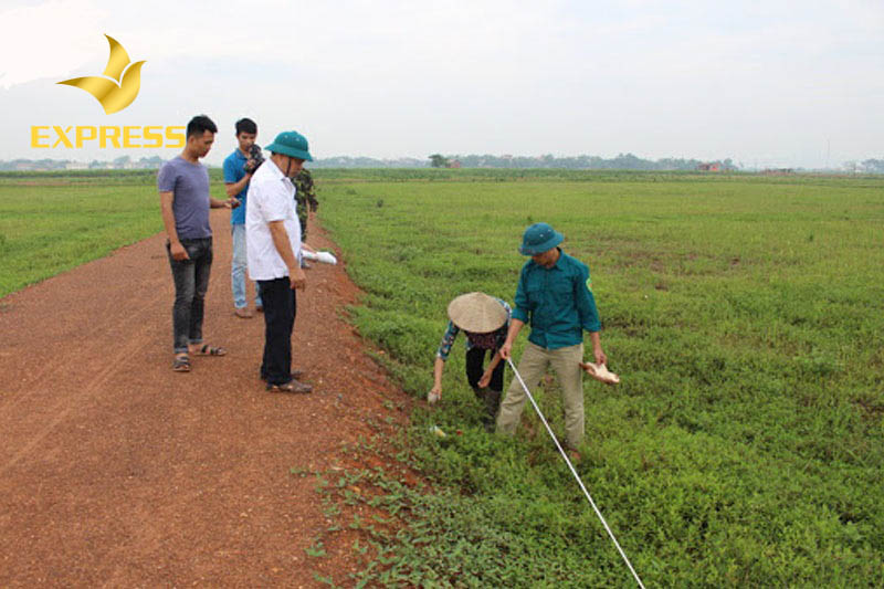 Lưu ý khi đo đạc đất ruộng bằng cách thủ công