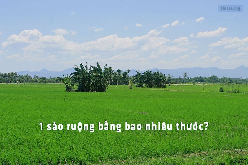 Một sào bằng bao nhiêu thước