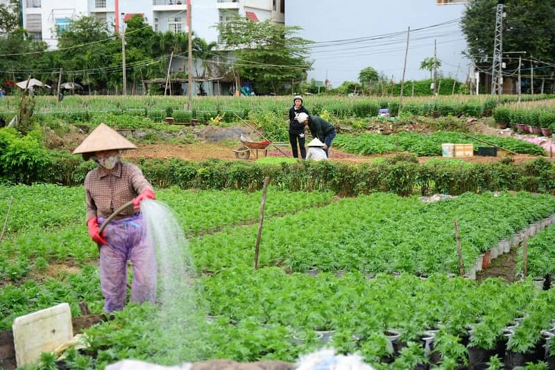 Nhiều chính sách hỗ trợ cho người dân khi bị thu hồi đất