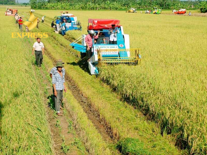 Phát triển nông nghiệp tại Cần Giuộc nhờ sử dụng máy móc, công nghệ cao