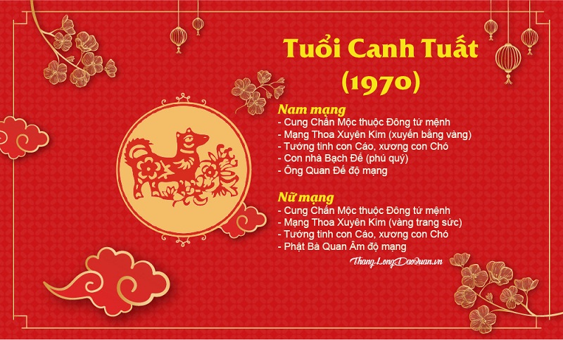 Bật mí cách chọn hướng bếp tuổi Canh Tuất 1970 hợp phong thủy