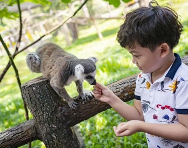 VƯỜN THÚ SAFARI