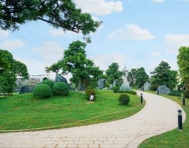 ĐƯỜNG DẠO BỘ