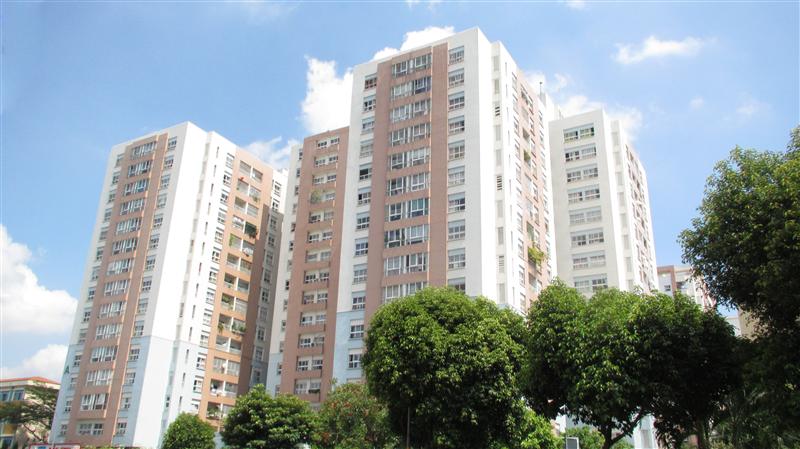 TỔNG QUAN BÀU CÁT II TÂN BÌNH