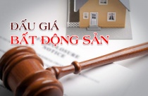 Các trường hợp đấu giá và không đấu giá quyền sử dụng đất