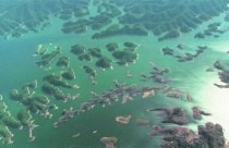 Hồ nghìn đảo như tiên cảnh ở Trung Quốc