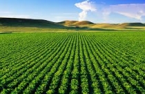 14 trường hợp được miễn, giảm thuế sử dụng đất phi nông nghiệp năm 2021
