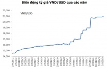 Tỷ giá 2013: Chuyên gia và NHNN “kẻ tám lạng, người nửa cân”