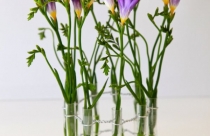 Bình hoa làm bằng ống nghiệm
