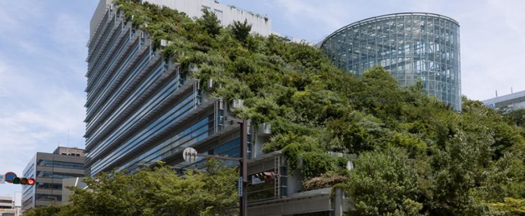  Thiết kế vườn trên mái – ốc đảo xanh tươi trong chốn đô thị (Phần 2)					