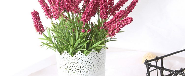  4 loại hoa trồng trong nhà giúp giảm stress và thêm yêu đời (P1)					