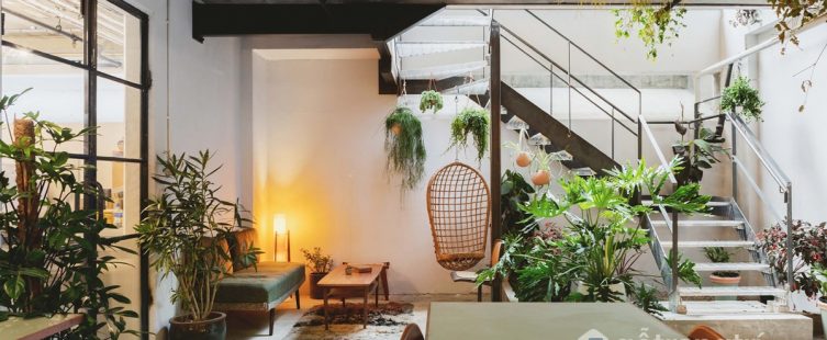  Tìm hiểu phong cách Eco trong thiết kế nội thất căn hộ hiện đại					