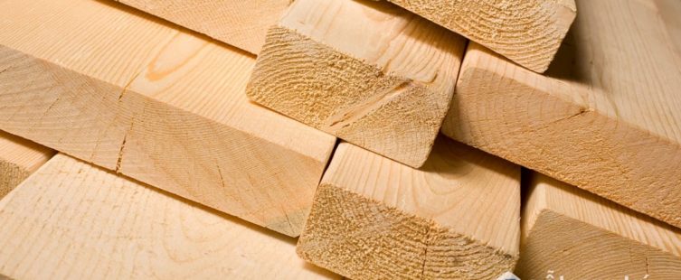  Tìm hiểu về các loại gỗ tự nhiên được ứng dụng trong thiết kế nội thất					