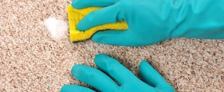  Học ngay mẹo khử mùi nấm mốc trên thảm trải sàn cho thời tiết nồm ẩm					