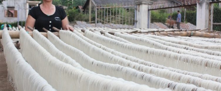  Khám phá làng nghề làm miến dong Lại Trạch – Hưng Yên					