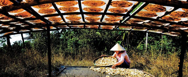  Khám phá hương vị miền Tây qua làng nghề chauối khô Cà Mau truyền thống					